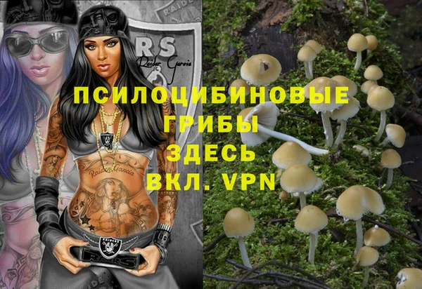 дживик Балабаново